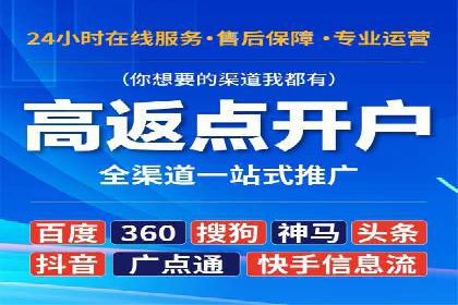 SEM服务公司成功案例解读